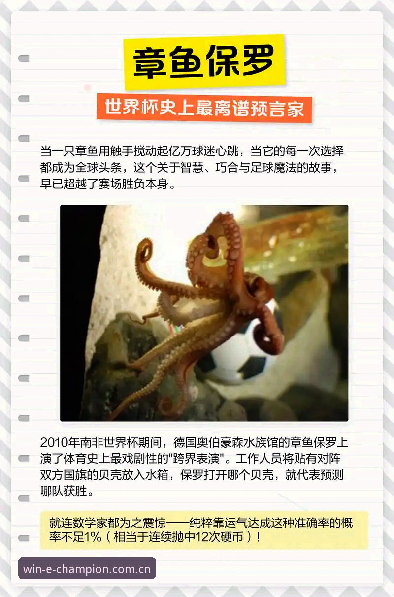揭秘世界杯"冷场"背后的真相：签证危机如何搅动全球球迷的观赛梦